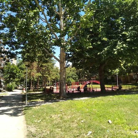Apartman Dara - Novi Beograd Dış mekan fotoğraf